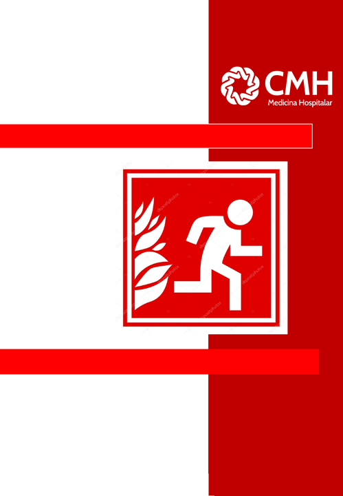 PAE - Plano de Ação Emergencial - 2024